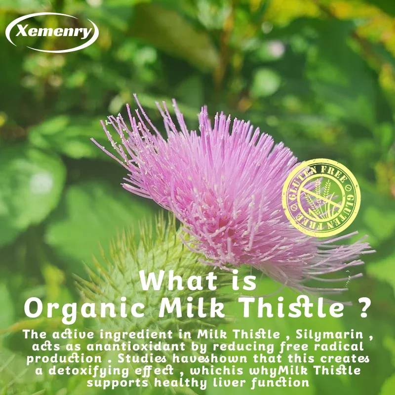 밀크시슬 캡슐 1000mg - 민들레 뿌리 함유 - 간 - Milk Thistle Silymarin 리뷰 및 가격