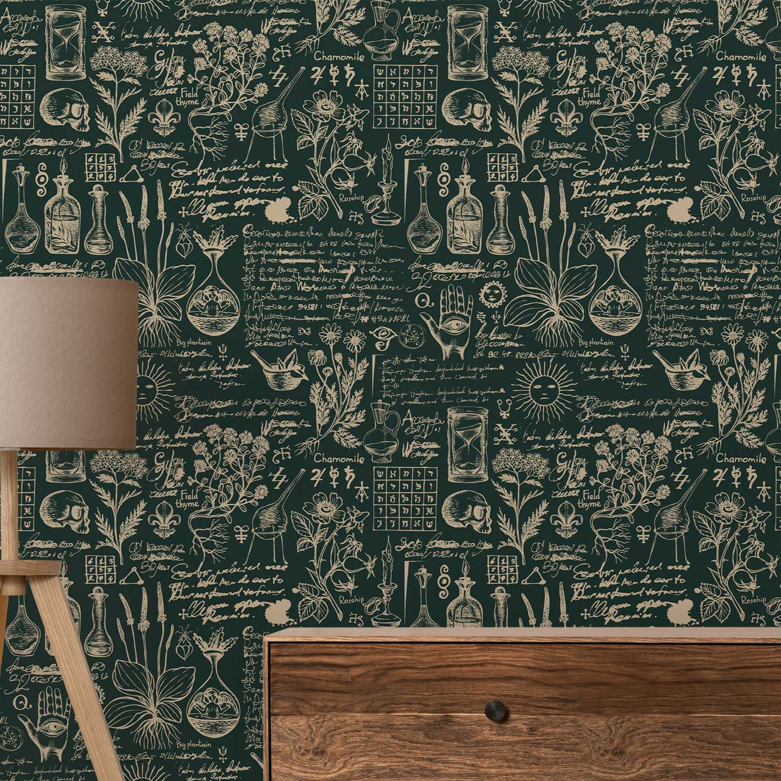 녹색 의학 및 허브 벽지, 베이지 디자인 벽지, 레트로 - Herbal Wallpaper 리뷰 및 가격